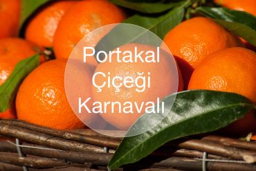 portakal cicegi karnavali adana