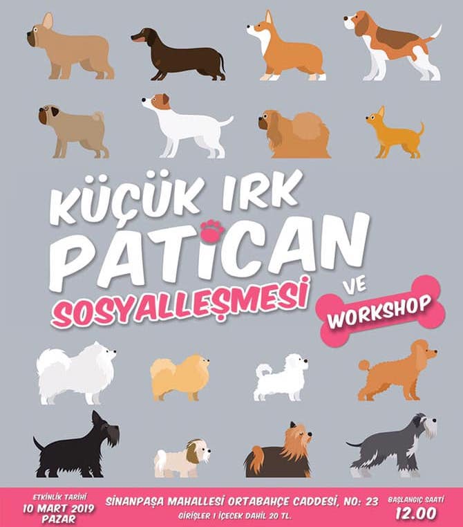 küçük ırk patican buluşması