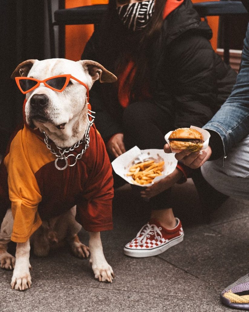 istanbul'un en iyi hamburgercileri - mini eatery