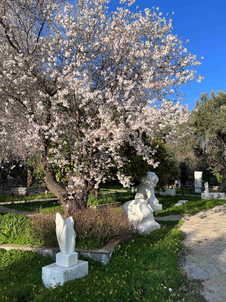 badem cicegi festivali datca