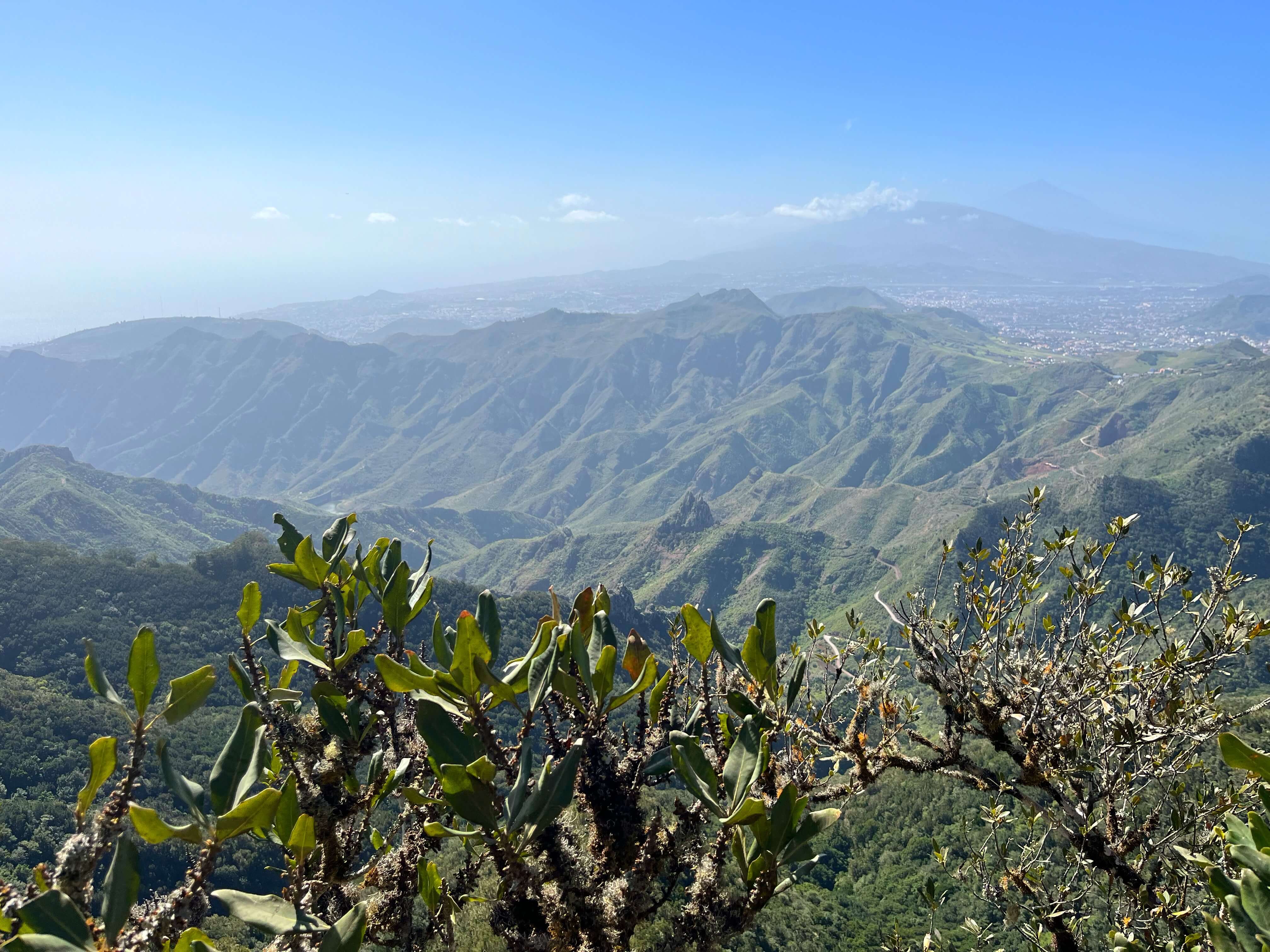 tenerife gezi rehberi